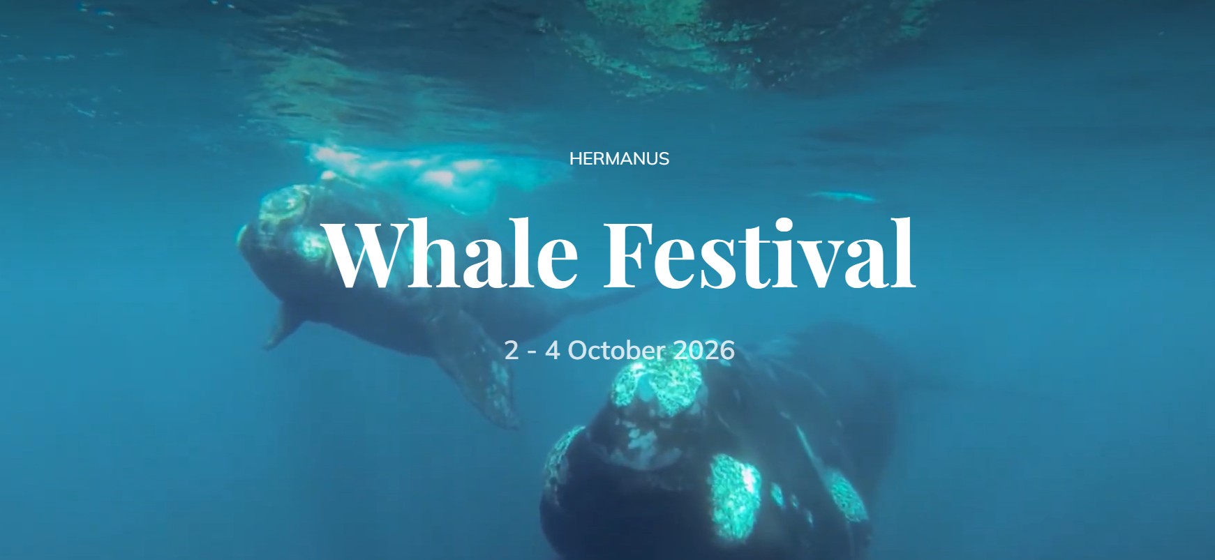 Hermanus Whale Festival 2026