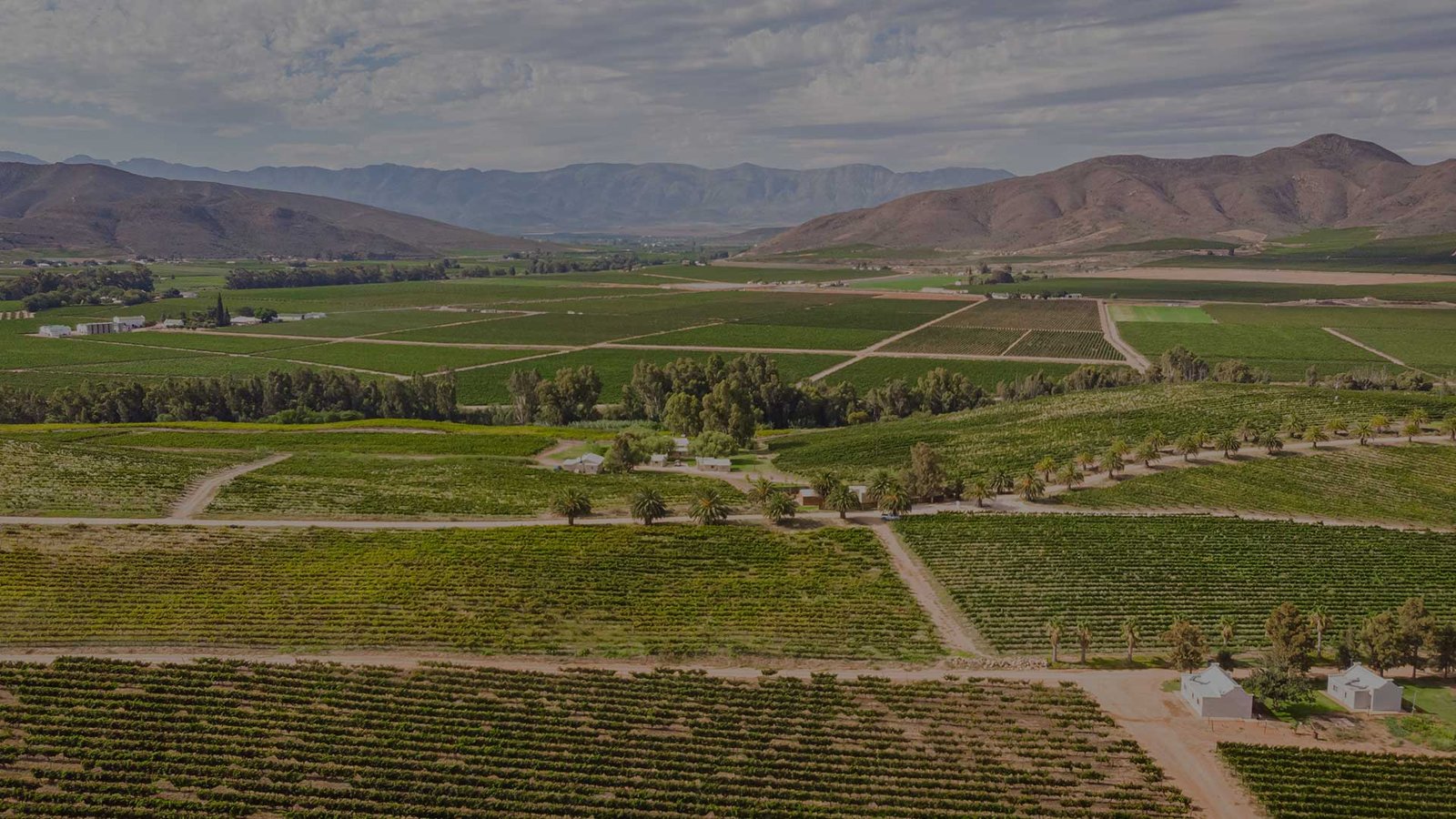 Arendsig Handcrafted Wines hero image