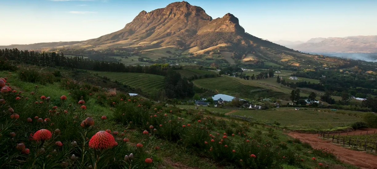 Bartinney Wine Estate hero image