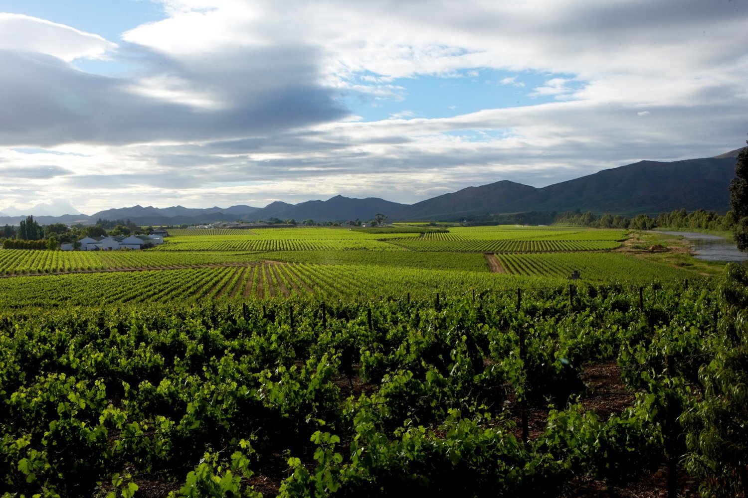 Bon Courage Wine Estate hero image