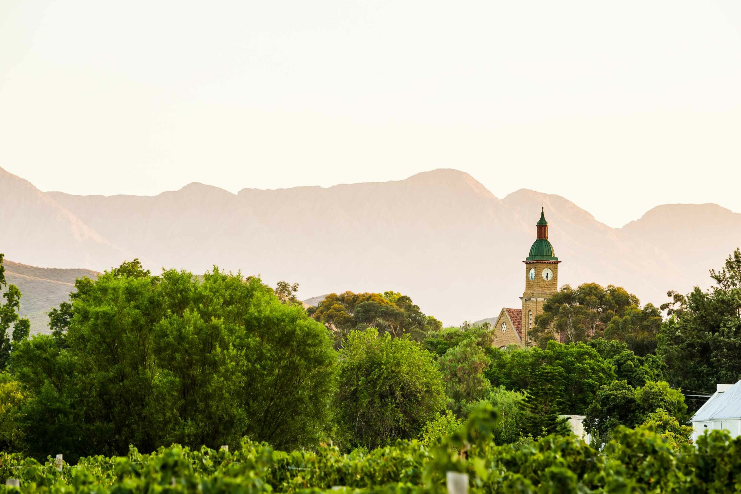Boplaas Family Vineyards hero image