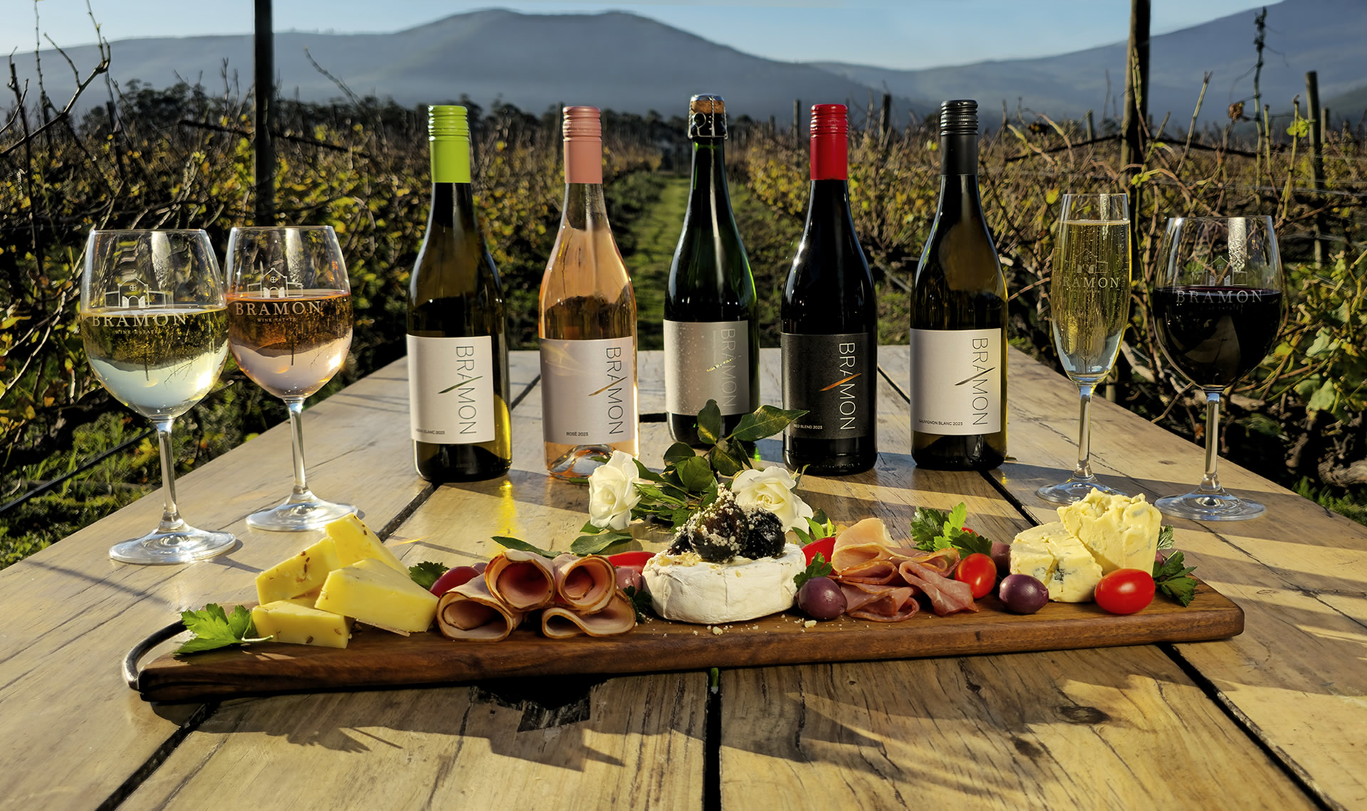 Bramon Wine Estate hero image