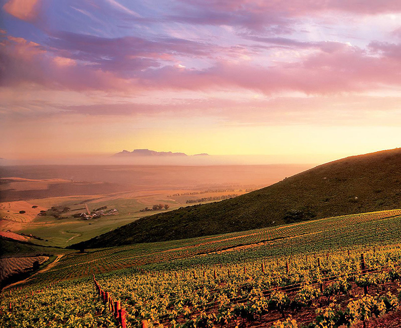 Burgherspost Wine Estate hero image