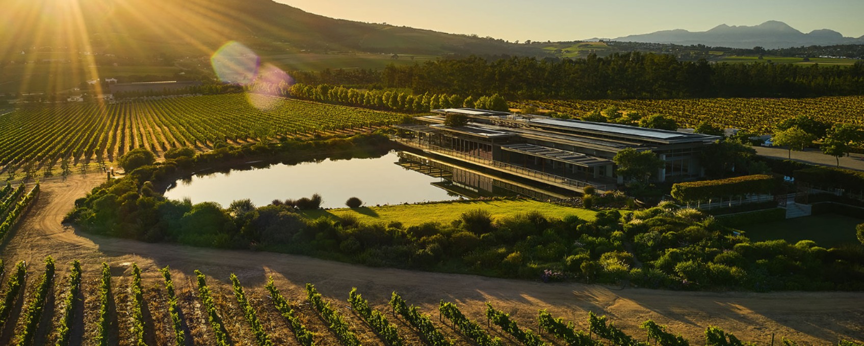 Drink Chenin Day Festival 2026