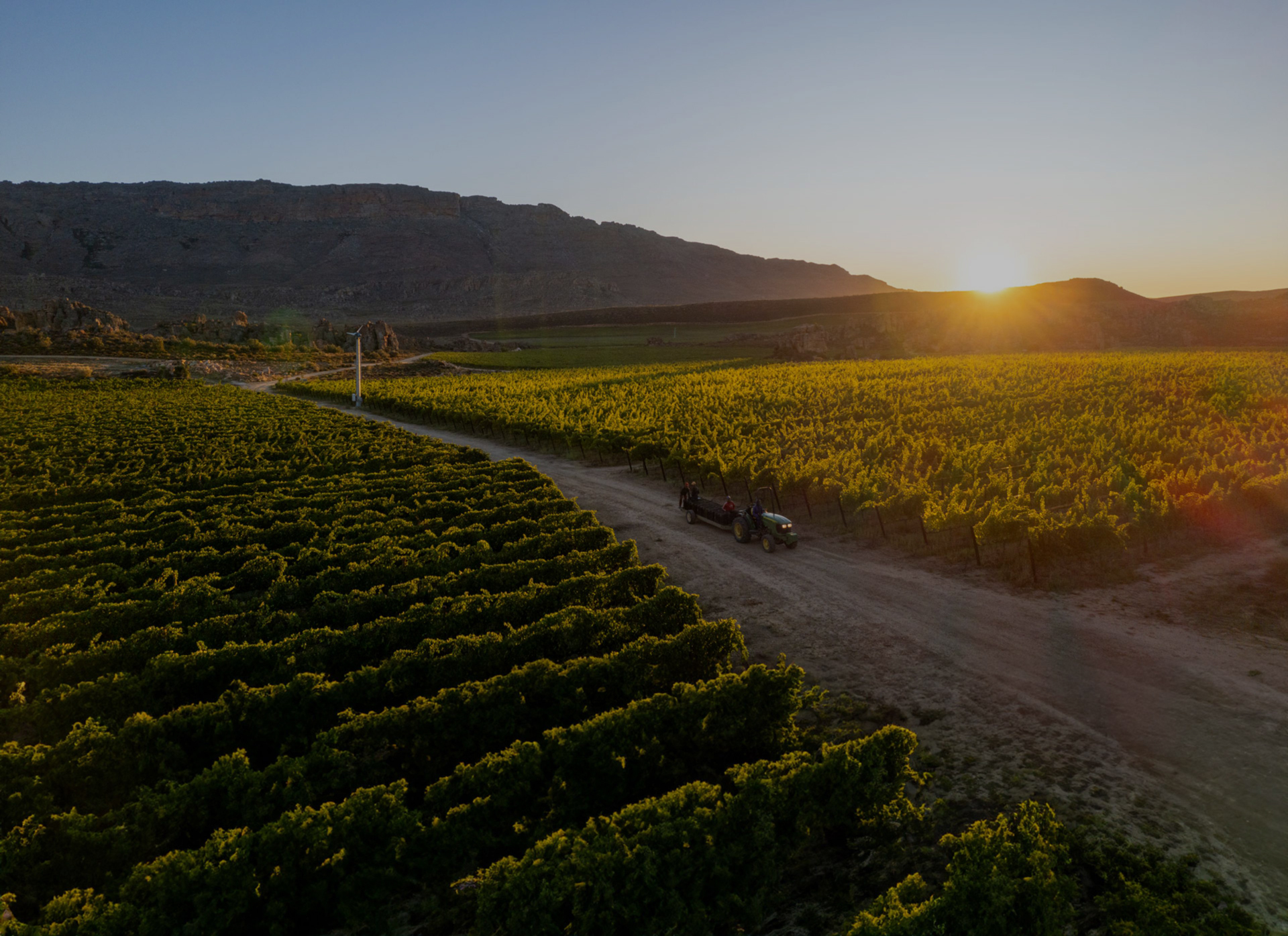 Cederberg Private Cellar hero image