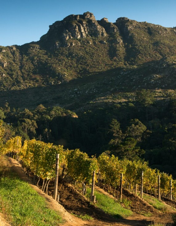 Constantia Glen hero image