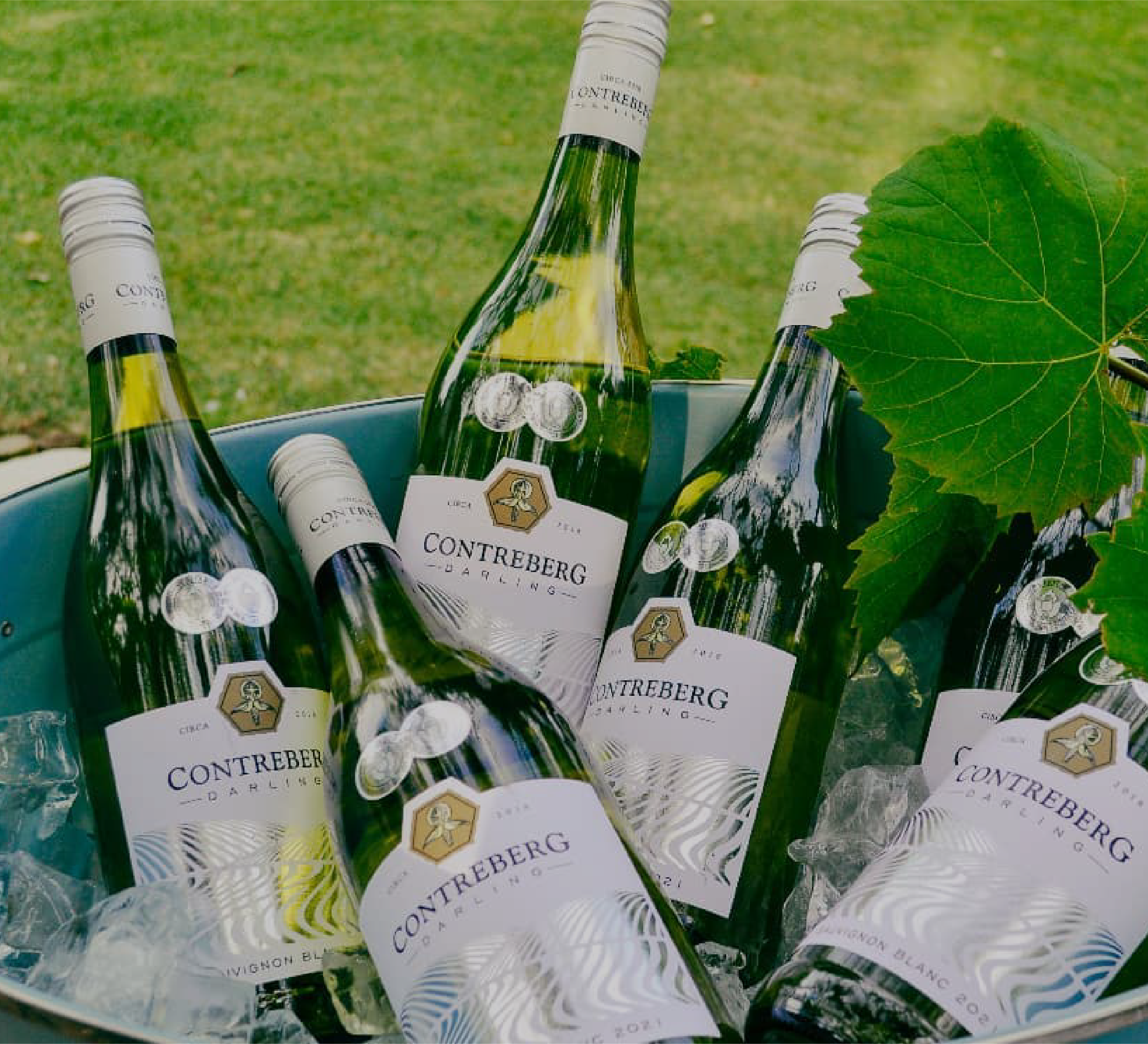 Contreberg Wine Farm hero image