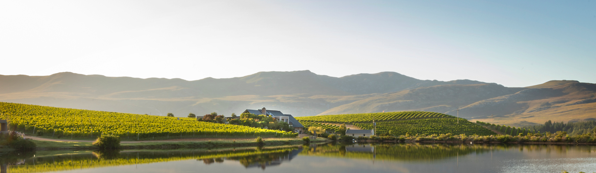 Creation Wines hero image