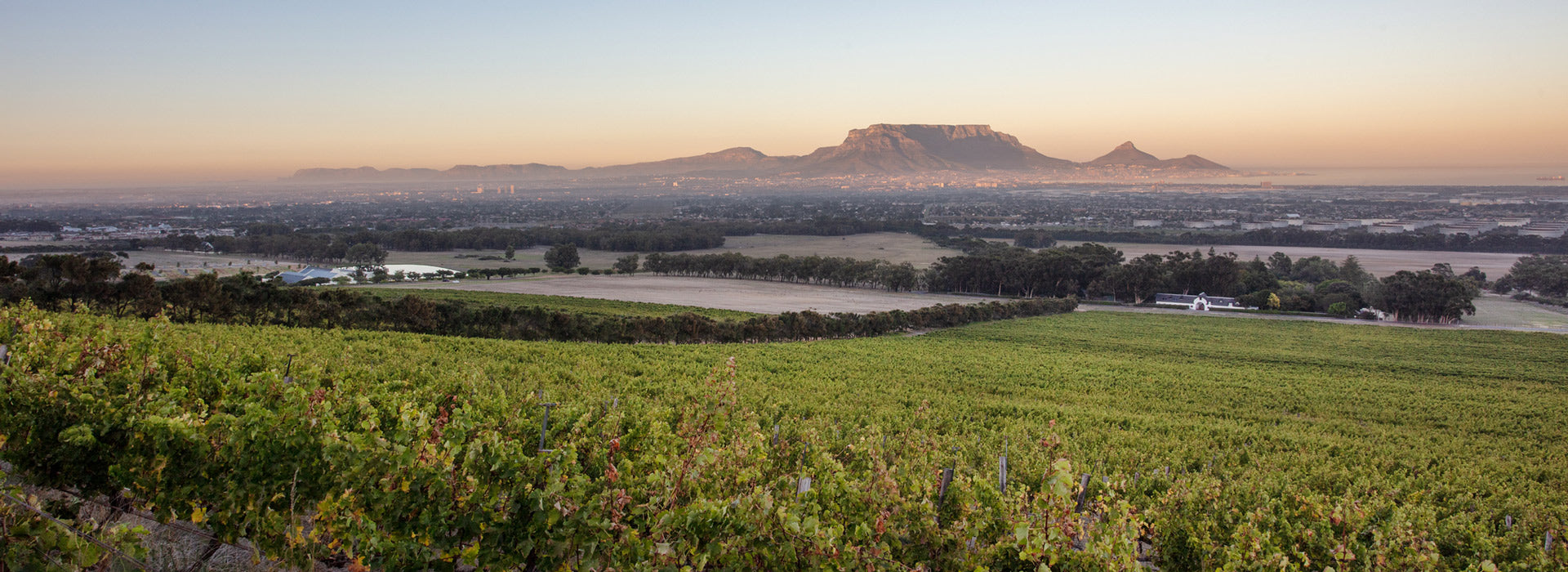 De Grendel Wine Estate hero image