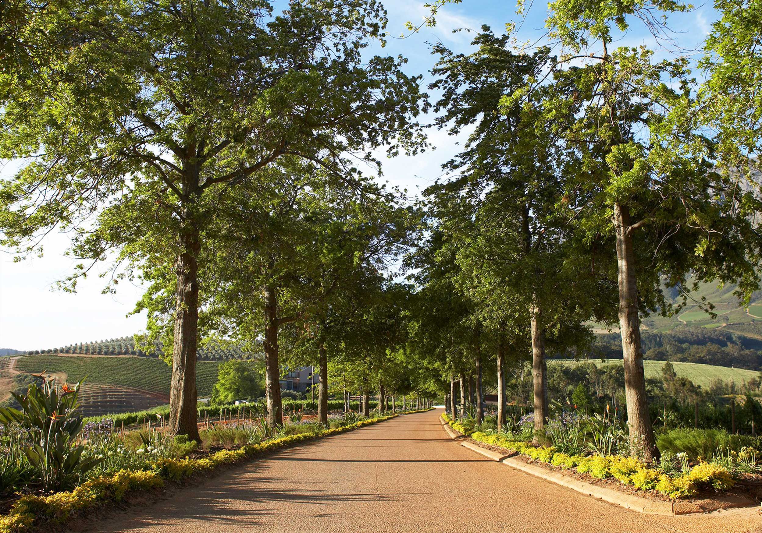Delaire Graff Estate hero image