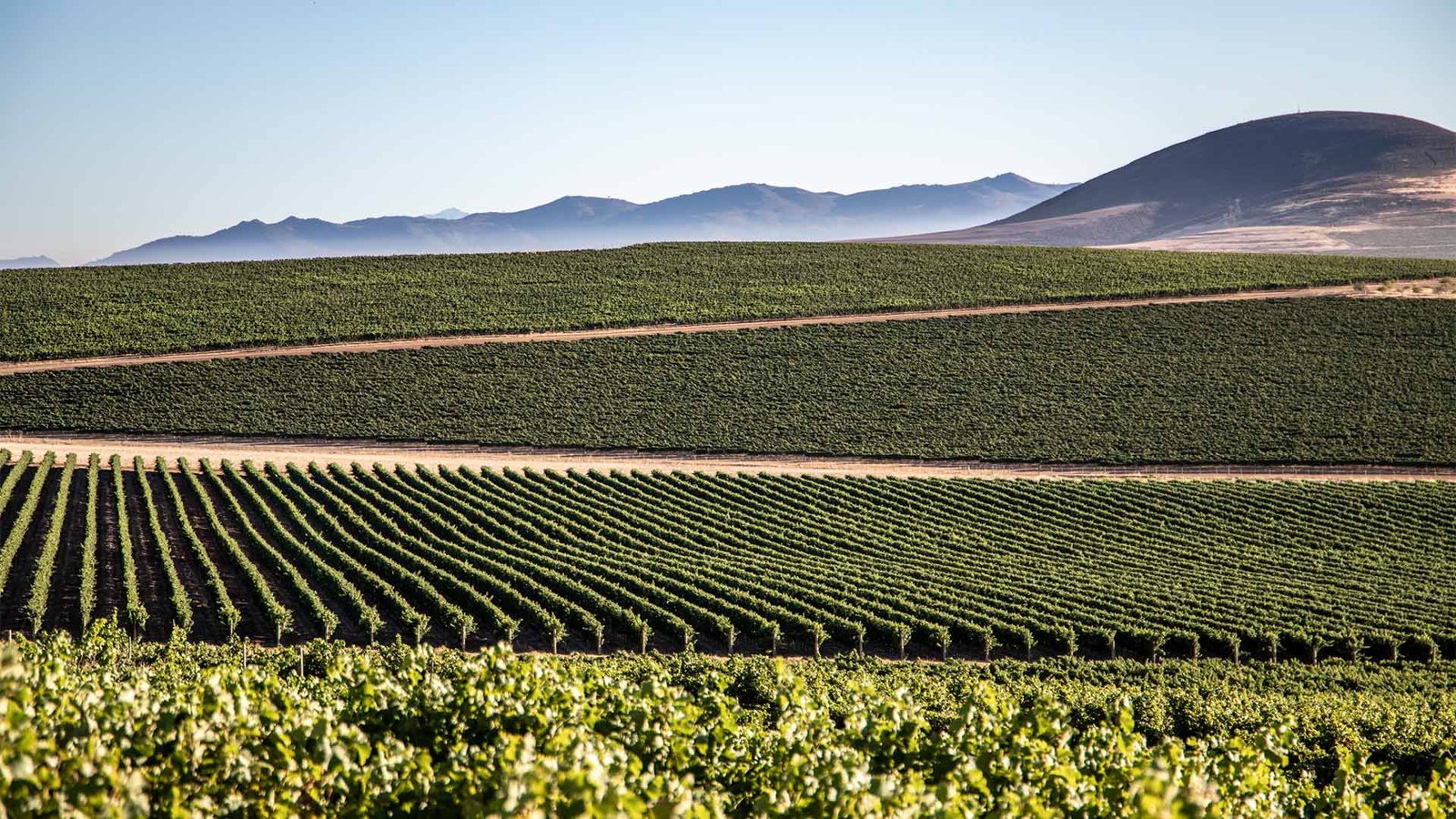 Diemersdal Wine Estate hero image
