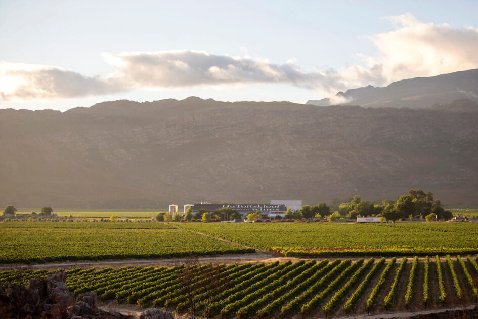 Du Toitskloof Wines hero image