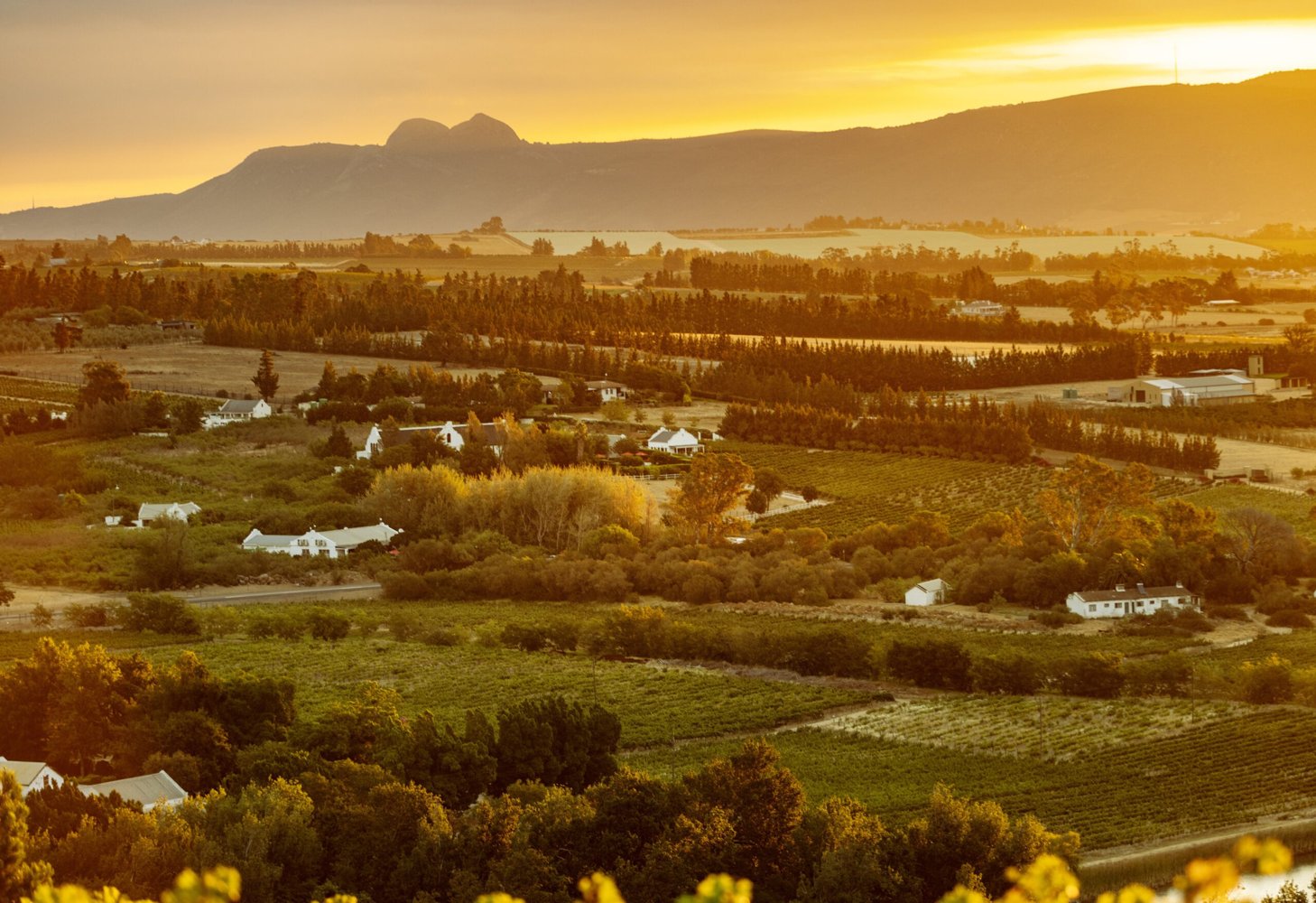 Dunstone Country Estate hero image