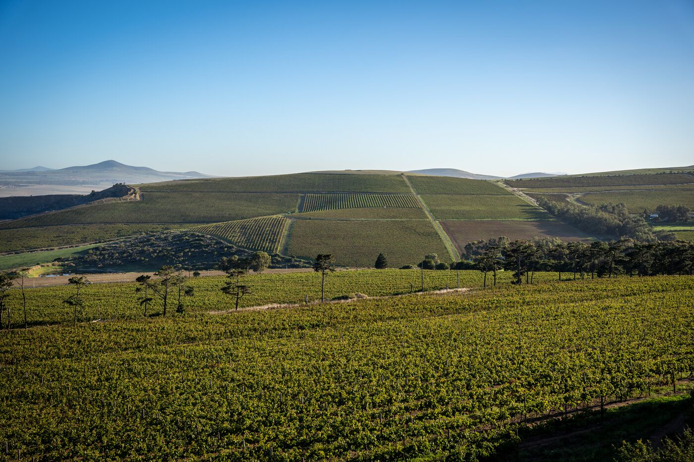 Durbanville Hills hero image