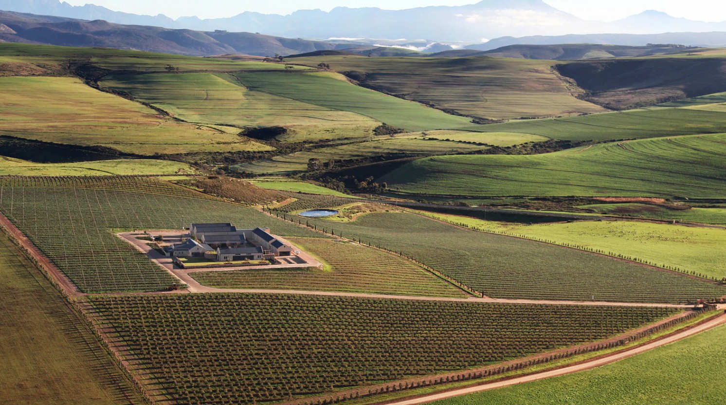 Gabriëlskloof Wine Estate hero image