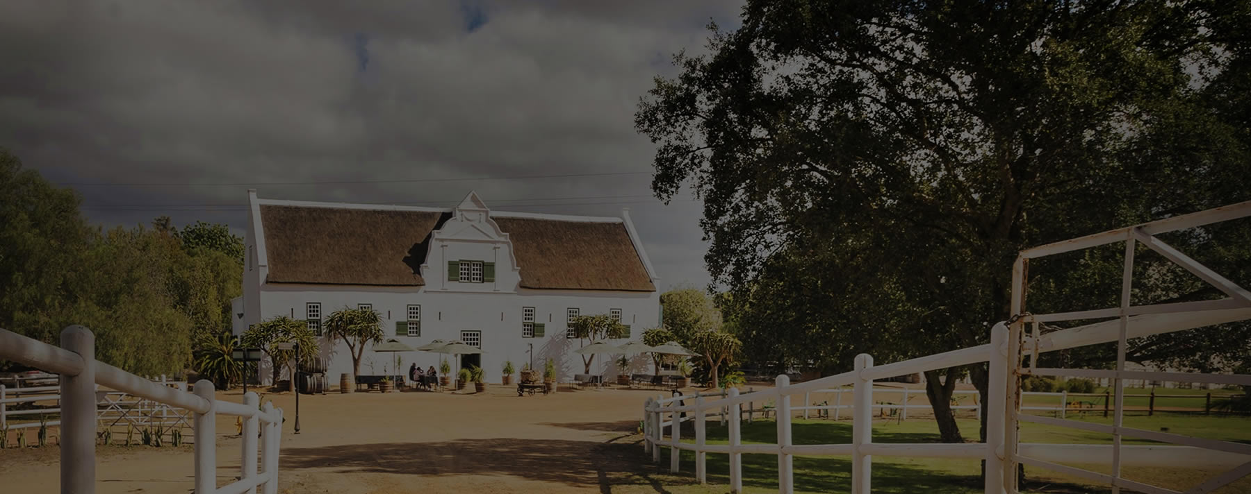 Groote Post Vineyards hero image