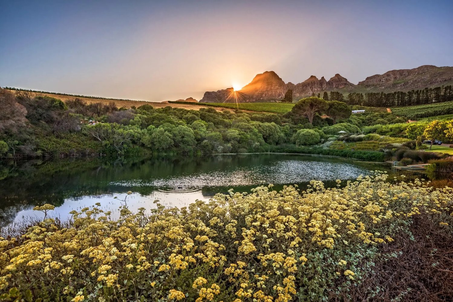 Hidden Valley Wines hero image