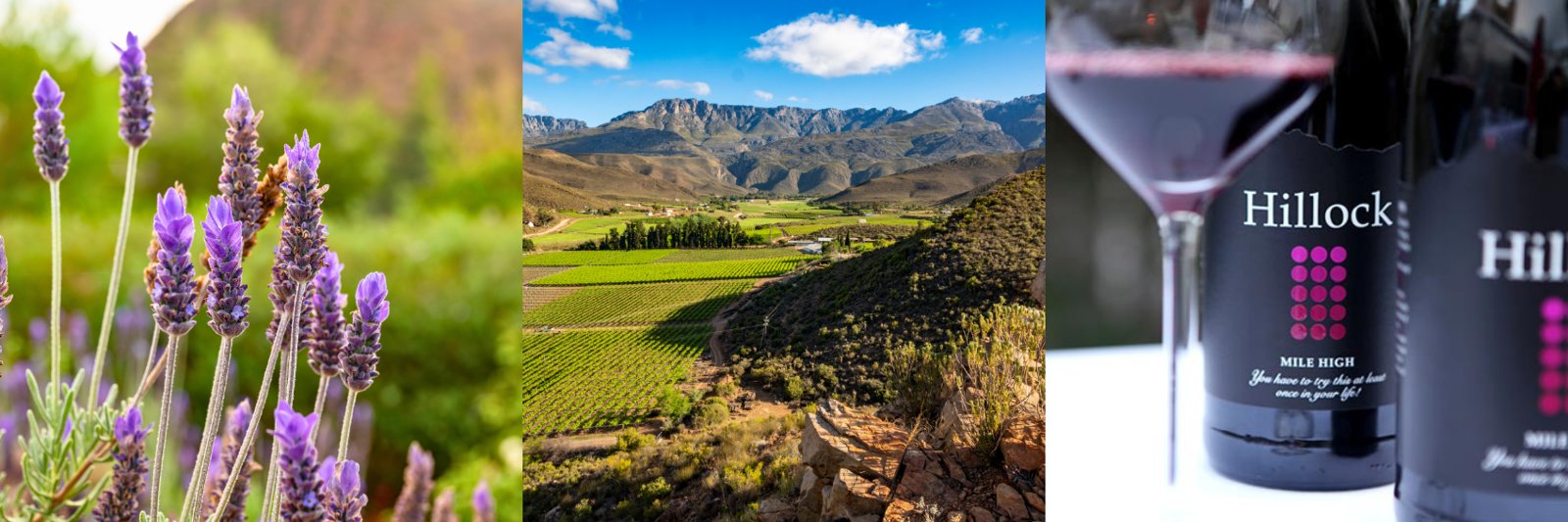 Hillock Wines hero image