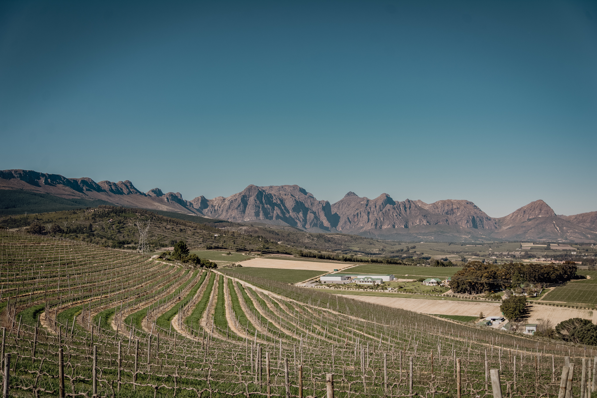 Imbuko Wines hero image
