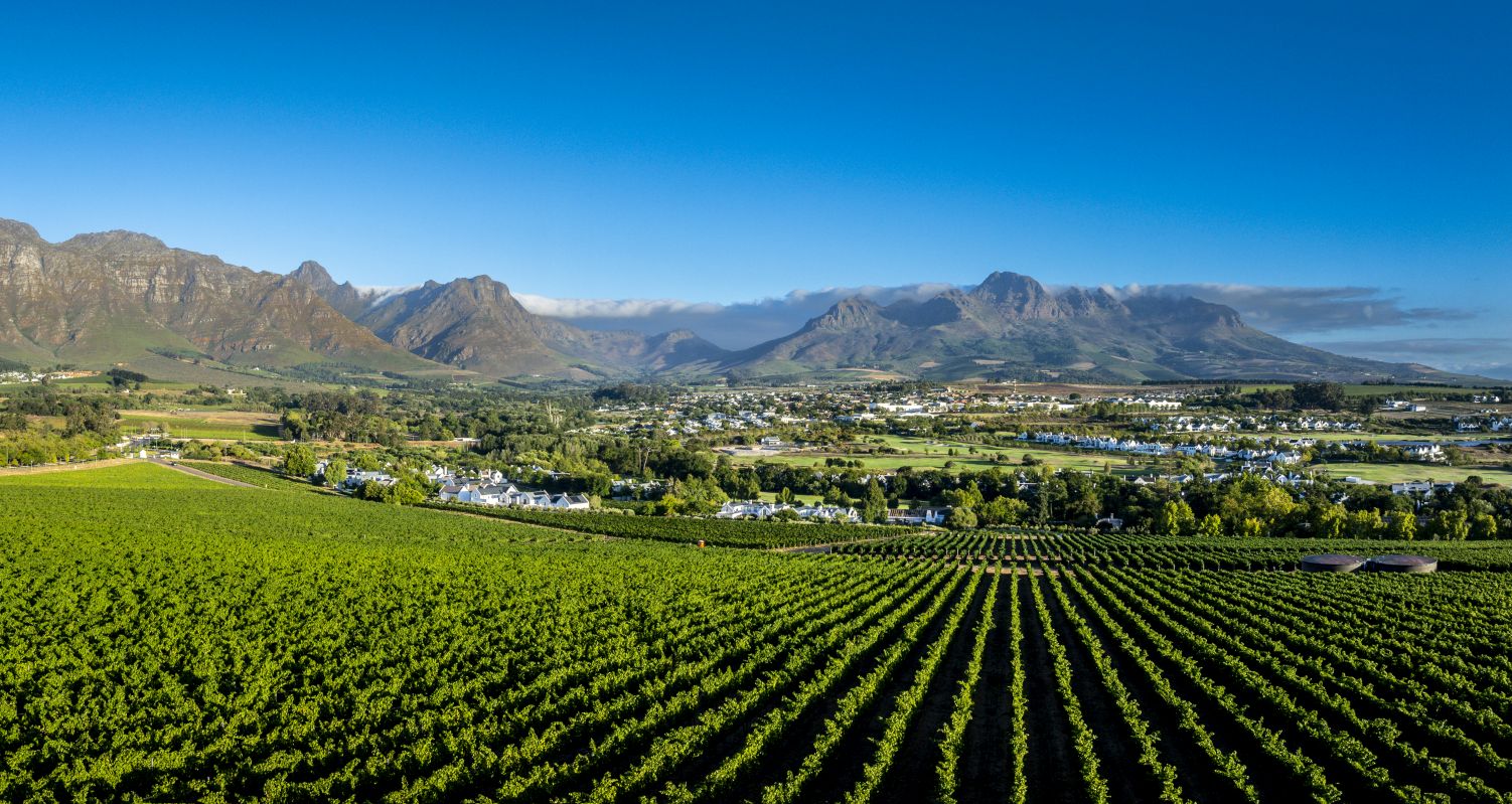 Kleine Zalze Wines hero image