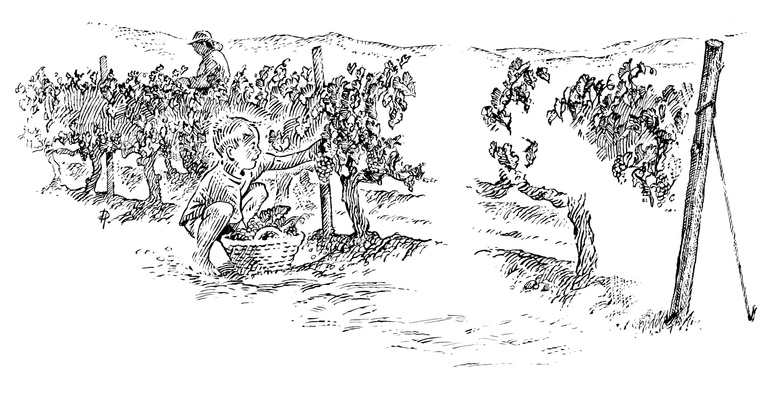 Kloovenburg Wine & Olive Estate hero image