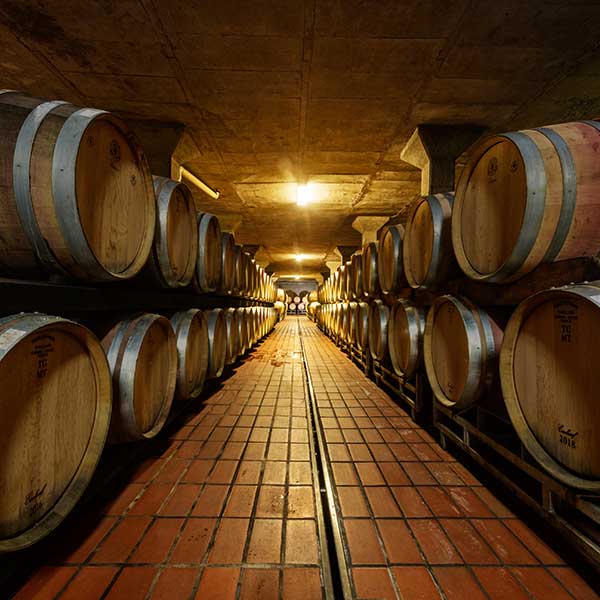 Ladybird Vineyards hero image