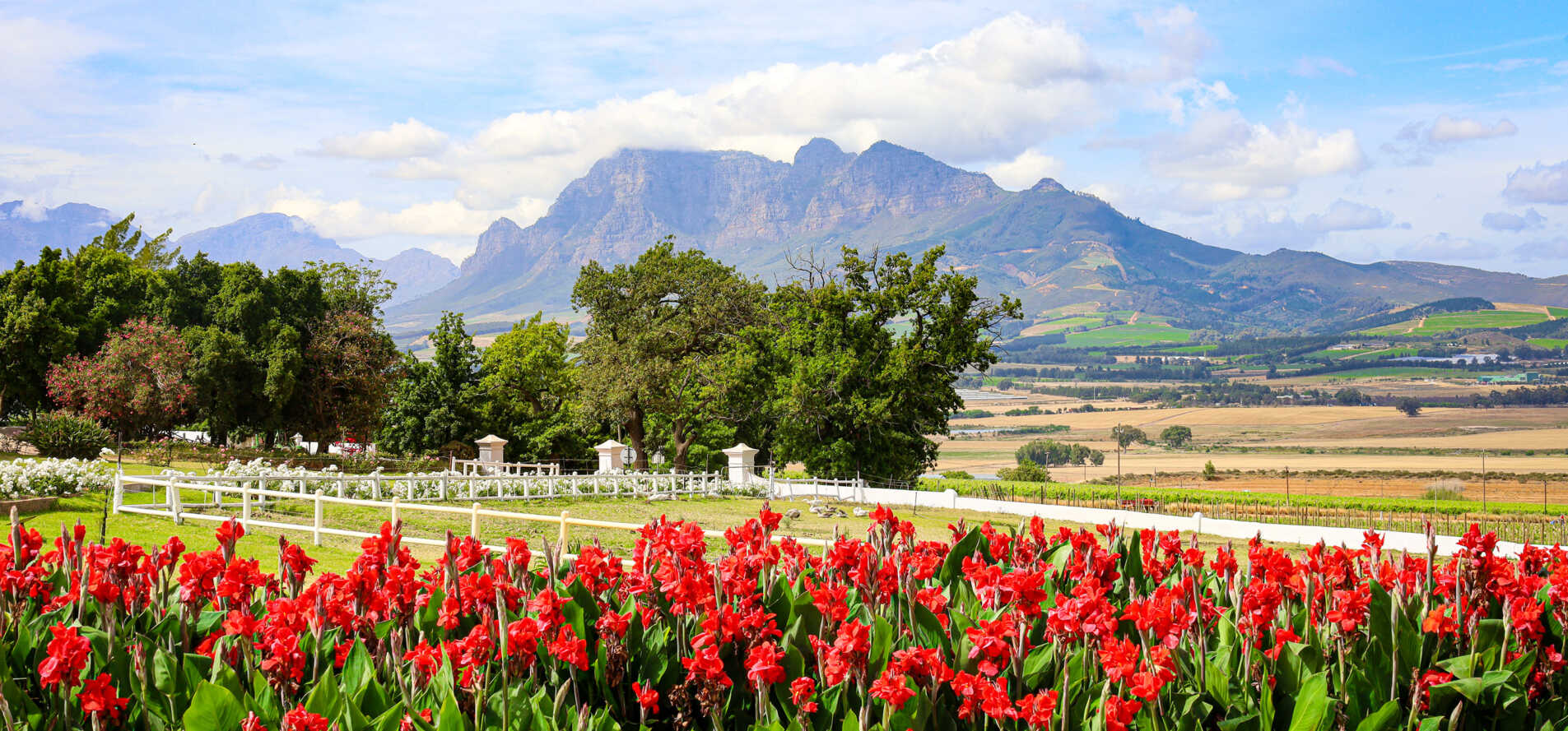 Landskroon Wines hero image