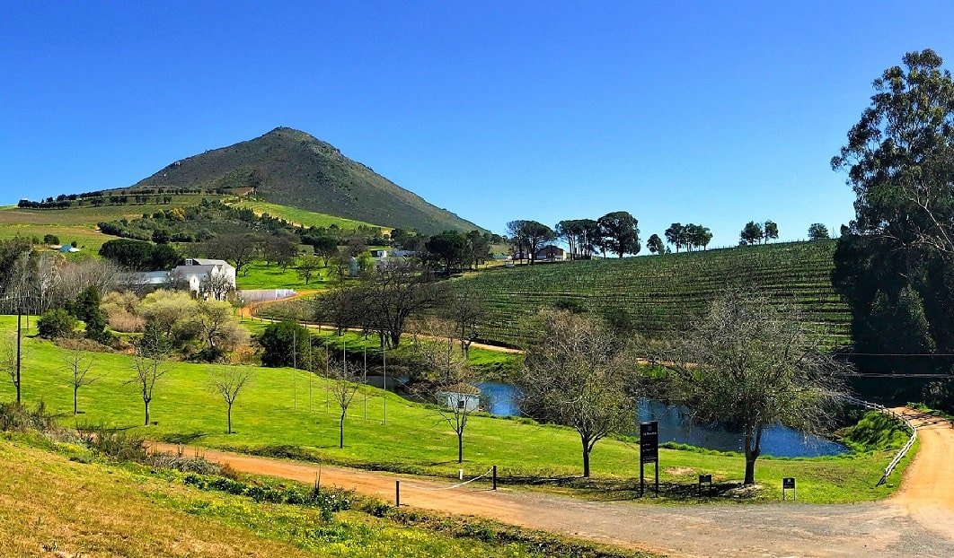 Le Bonheur Wine Estate hero image