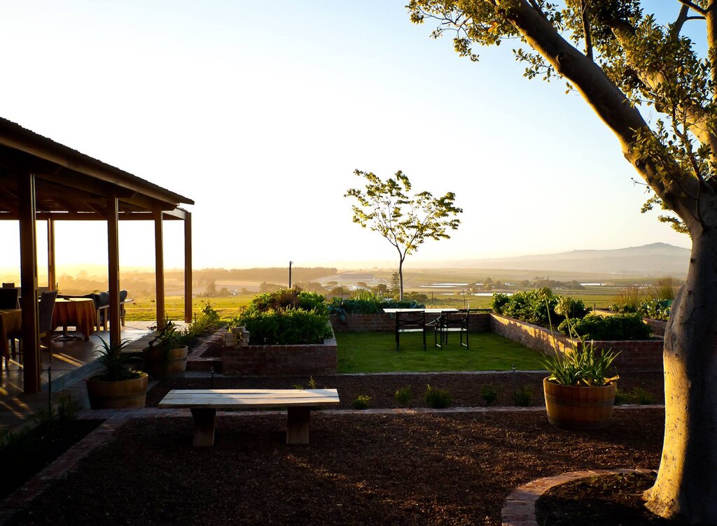 Longridge Wine Estate hero image