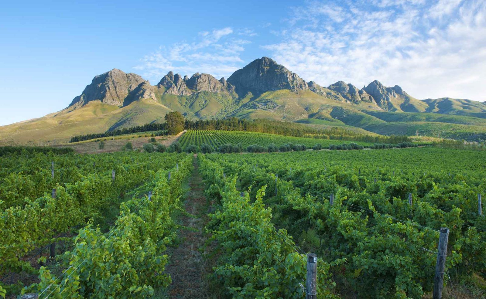 Lourensford Wine Estate hero image