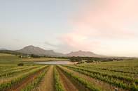 Middelvlei Estate hero image