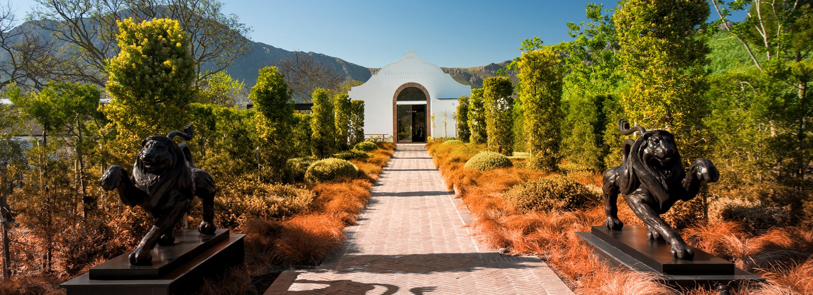 Mullineux & Leeu Family Wines hero image
