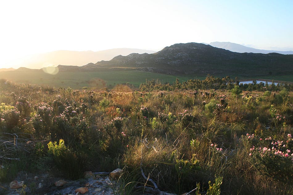 Paardenkloof Estate hero image