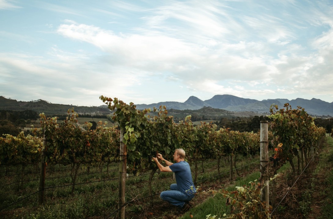 Richard Kershaw Wines hero image