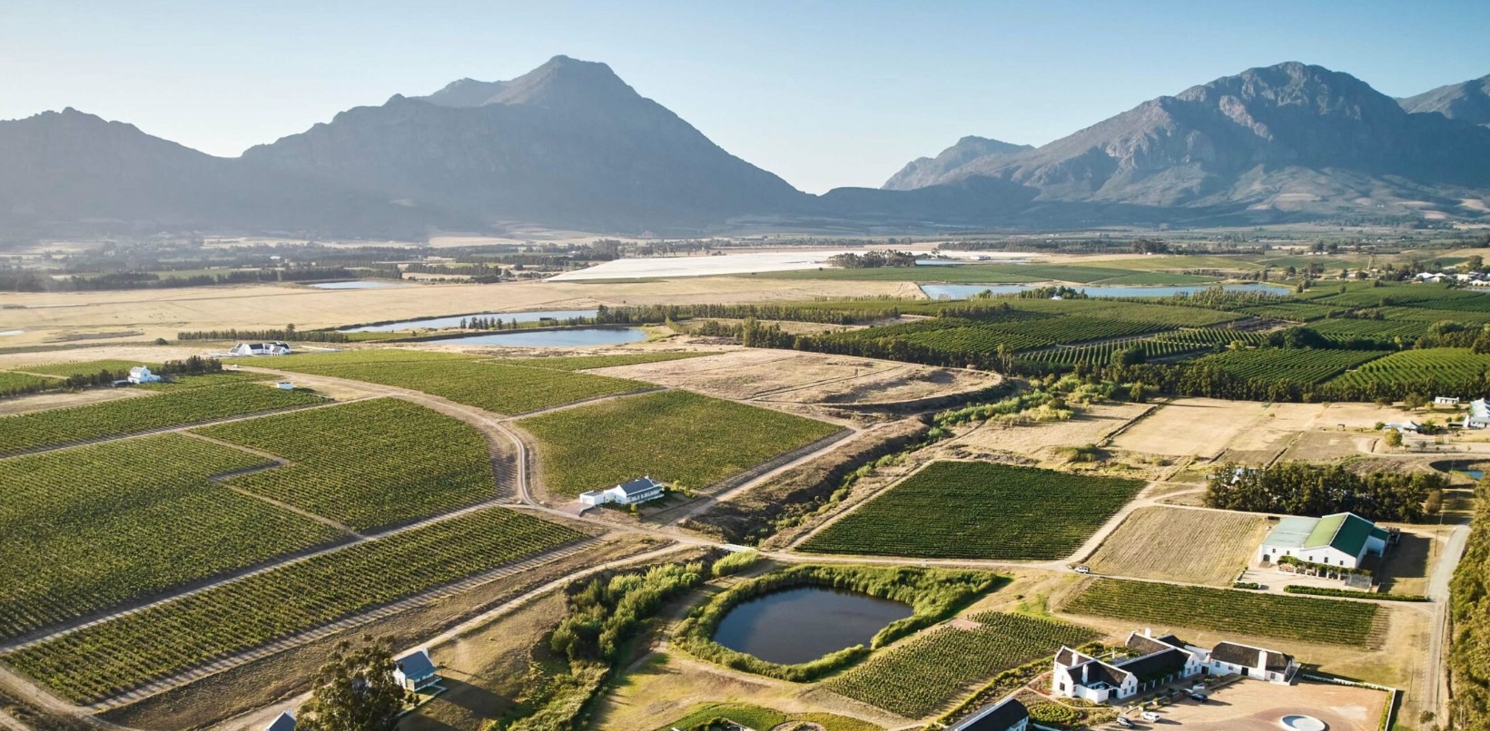 Rijk's Wine Estate hero image