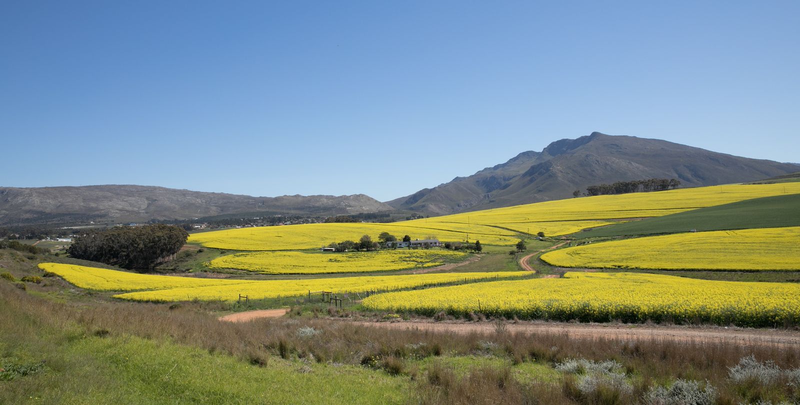 Rivendell Wine Estate hero image