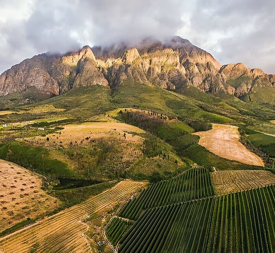 Saronsberg Wine Estate hero image