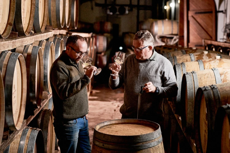 Simonsig Wine Estate hero image