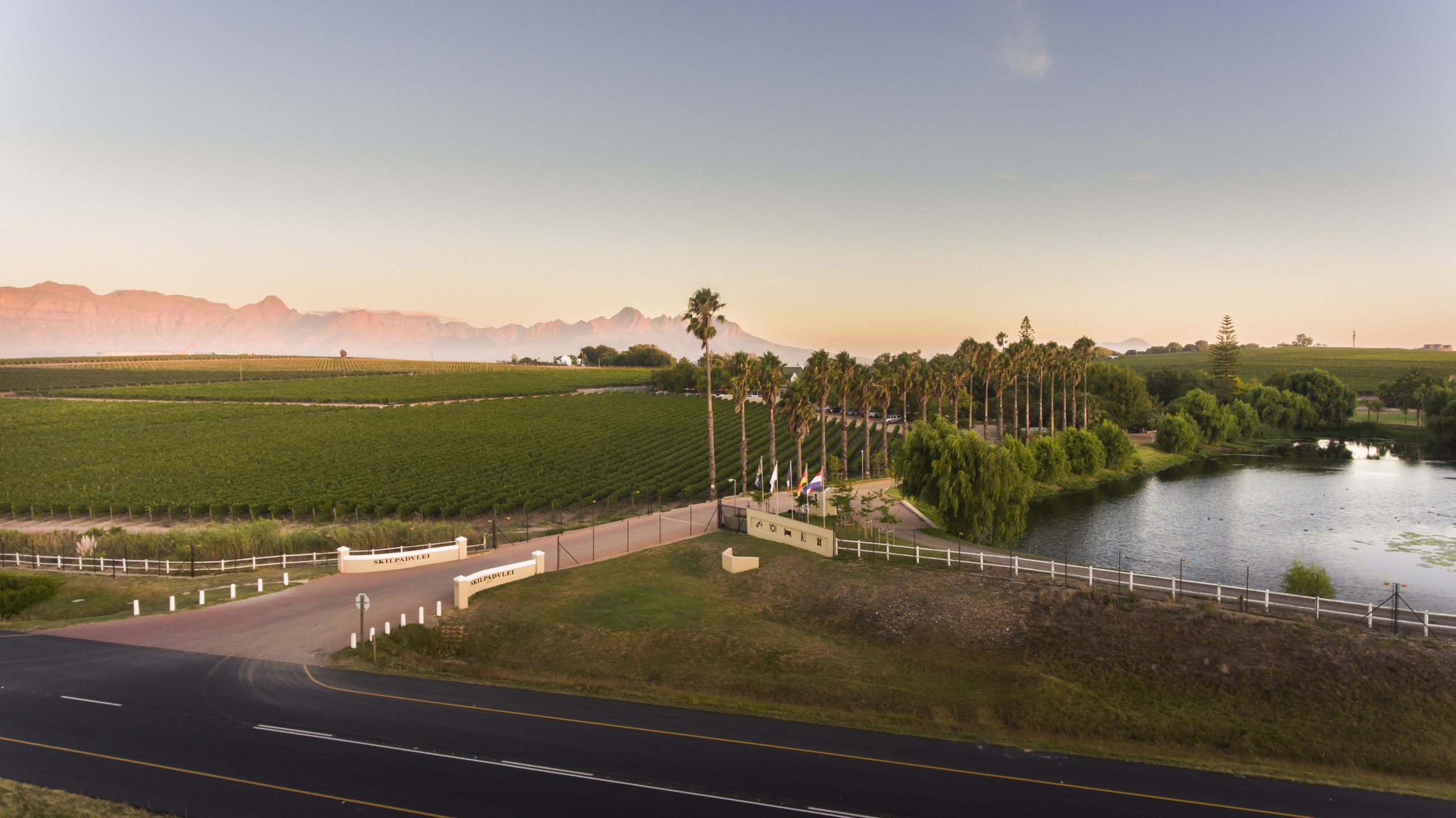 Skilpadvlei Wine Farm hero image