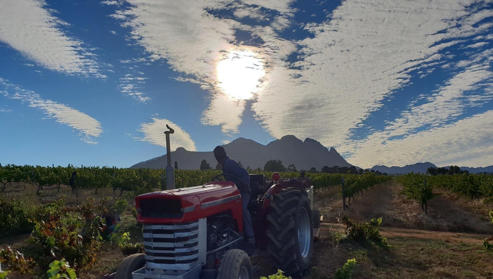 Slaley Wines hero image