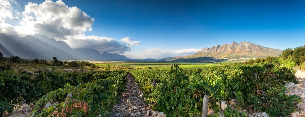 Slanghoek Cellar hero image