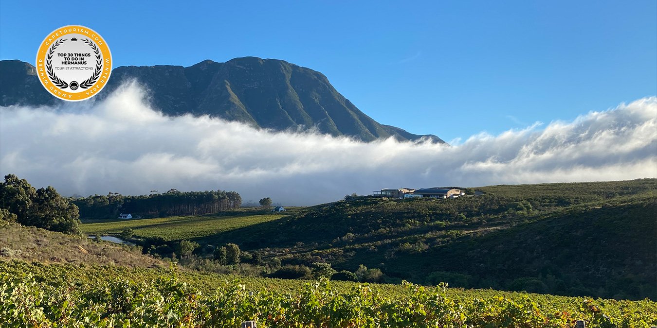 Spookfontein Wine Estate hero image