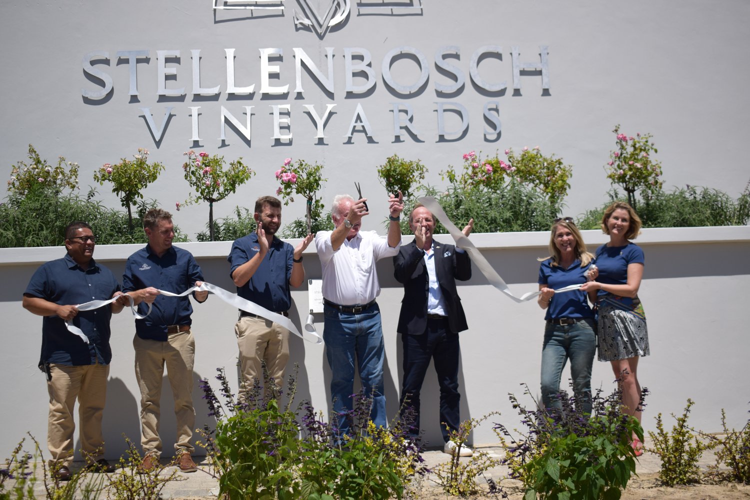 Stellenbosch Vineyards hero image