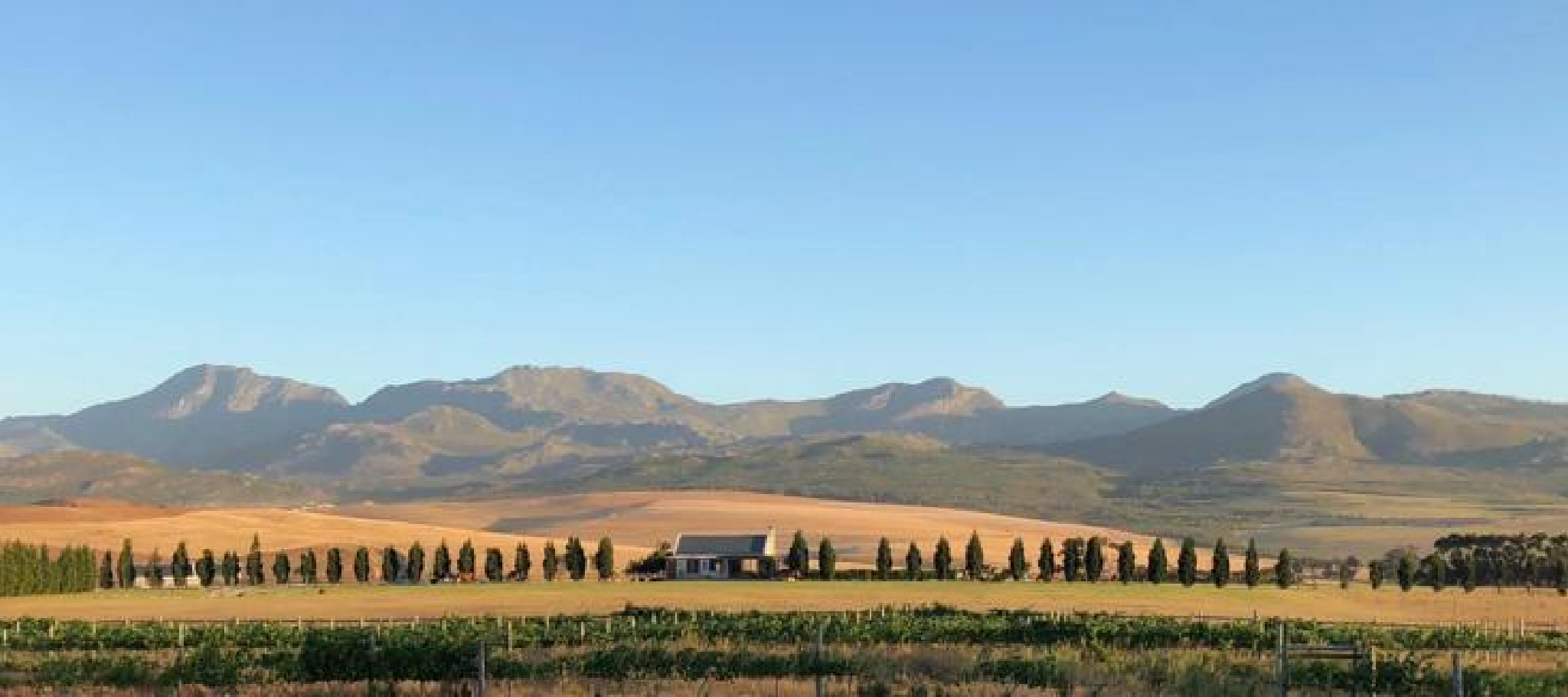 Stuart Family Vineyards hero image