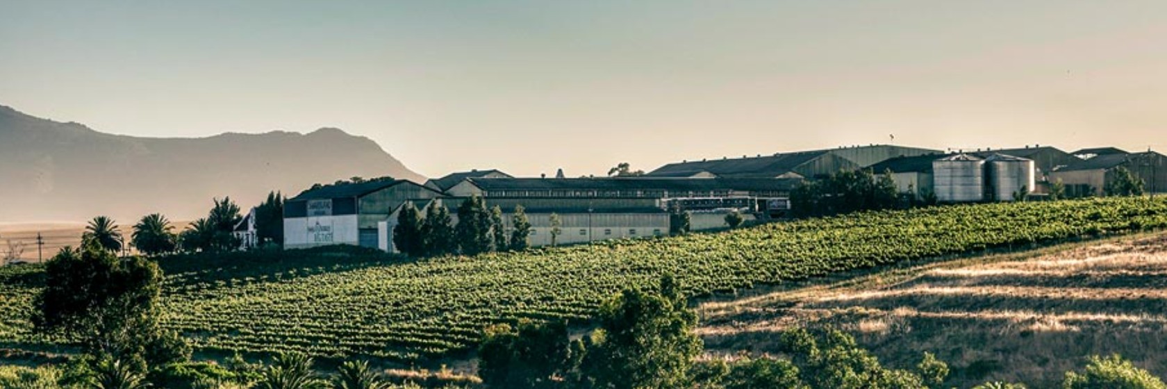 Swartland Winery hero image