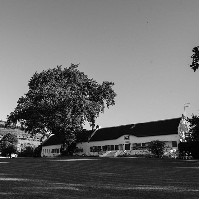Taaibosch Wine Estate hero image