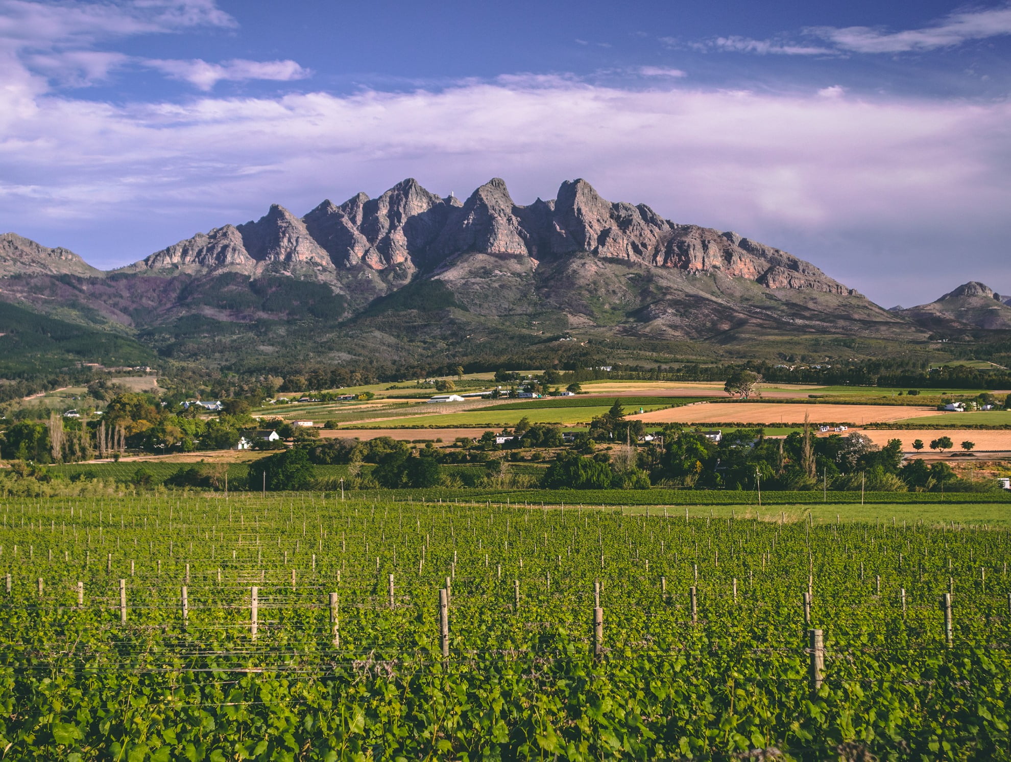 Val du Charron Wine Estate hero image