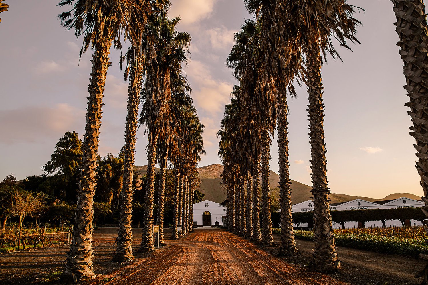 Van Loveren Family Vineyards hero image