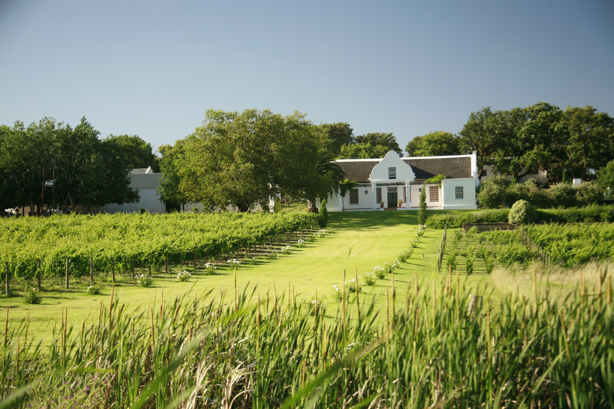 Vondeling Wines hero image