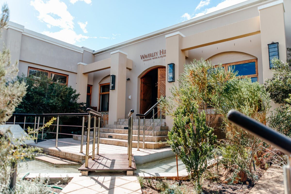 Waverley Hills Organic Wine Estate hero image